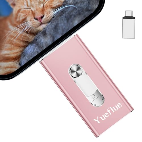 Yueflue Memoria USB 256GB para iphone Pen Drive,Pendrive para iphone Memoria Externa i0S/Android/PC....