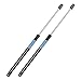 Dayincar Qty(2) 6133 Liftgate Tailgate Trunk Lift Supports Struts Shocks For Volvo Xc90 hatchback 2003 to 2014 SG315018,30634580