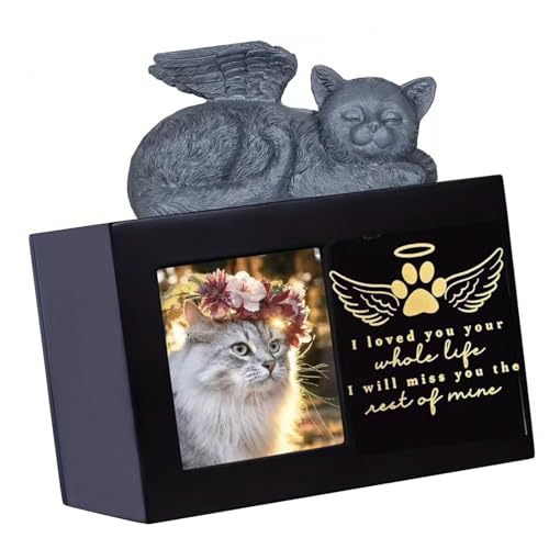 ybgΑD{bNXtHgt[tybg̎vőLOiك{bNXDƎʐ^ۊǂ邽߂̎ʐ^\