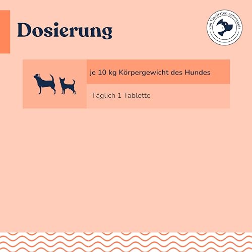 Felmo- Hochdosiert B-Vitamine + Tabletten für Hunde (120g) einschließlich Vitamin B1, B2, B3, B6 und B12 - Mit Biotin & Bierhefe leicht zu verabreichen- Mit Tierärzten entwickelt und empfohlen