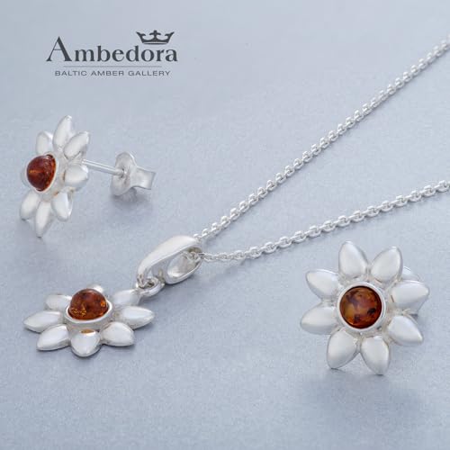 Colgante de plata de ley pulida y pendientes de ámbar báltico para mujer 3