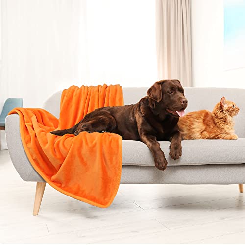 PiccoCasa Flannel Fleece Blanket Soft Lightweight Warm Fuzzy Blanket for All-Seasons - Image 3