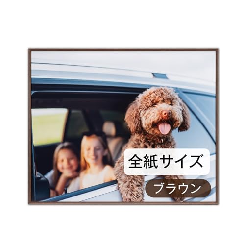 �P���R�[(Kenko) �z�� �A�~�l�I�E�O�����f �S�� �u���E�� �ؖڒ��A���~�t���[�� UV�J�b�g�A�N���� ���{�� AAG-Z-BR