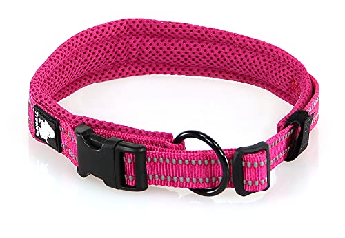 Petastic Halsband Varberg Cover