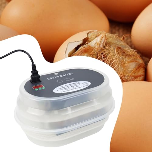 Gralara Incubadora de ovos para chocar pintinhos Incubadora automática de virar ovos Pequena incubad