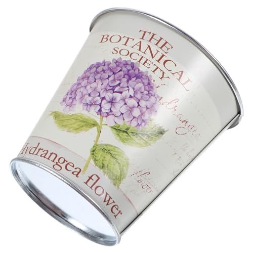 TOYANDONA Vintage Eisen Blumentopf Garten Pflanzer für Sukkulenten und Blumen Dekorativer Metall Übertopf für Balkon Wohnzimmer und Büro Vielseitiger Pflanzenkübel für Innen und Außen