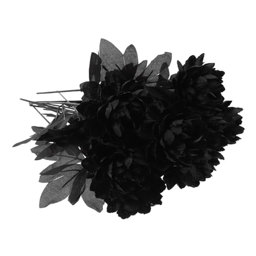 NOLITOY 10  Ԍs nEB nEB[̉Ԃ̑ _A nEBt[ ̑ V~[V  Ԃ ͋[ԏ VNt[