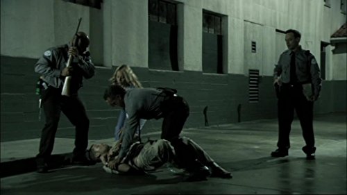 30 Days of Night - Blutspur