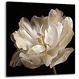 Bathroom Wall Decor Flower Canvas Wall Art Modern Wall Decor Black Background White Flower Theme Painting Picture Artwork Wood Framed Wall Art Easy to Hang Size 14X14in