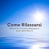 Meditation Music International