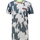 Teile tierischen Ursprungs: Nein