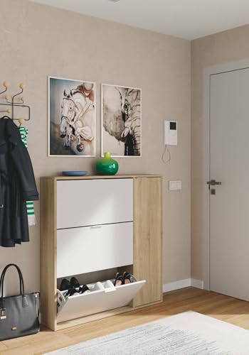 Dmora - Scarpiera Provo, Armadio portascarpe a 4 Ante, Mobile Basso Multiuso con 5 Ripiani, Scarpiera Moderna, 106x22h115 cm, Rovere e Bianco