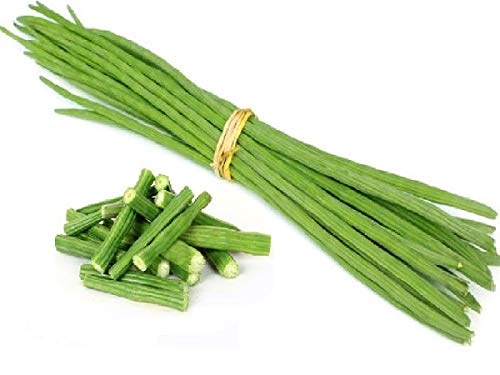 MaliaGarden Drumstick Long Vegetable 20 Seeds - Green Moringa - Sajnedata Plant Seeds (B085GLGNTF) Amazon Price History, Amazon Price Tracker