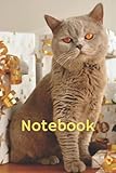 notebook: find out treasures of gratitude, real blessings and of course mostly pretty lined pages, so enthusiastic quotes and images, spaces to sketch or just writing everywhere.