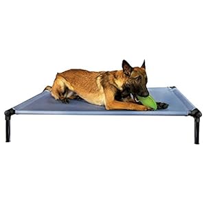 Starmark Dog Zone Bed Large Sky Blue