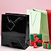 Fun Express - Medium Black Gift Bags for Party - Party Supplies - Bags - Paper Gift W & Handles - Party - 12 Pieces