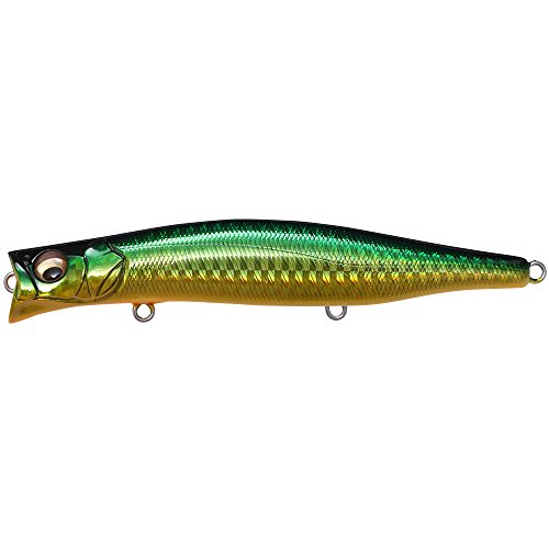 Amazon.co.jp: Megabass(メガバス): ソルトルアー