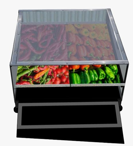 Mini Solar Dryer for Drying Food, Fruits & Vegetables | 2 Trays | with D C fan powered by solar PV module