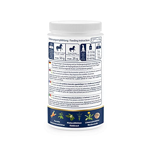 V-POINT ARTHRO Plus - Premium Kräuterpulver mit Weidenrinde und Mädesüßkraut zur Unterstützung der Gelenkgesundheit bei Pferden (500 g)