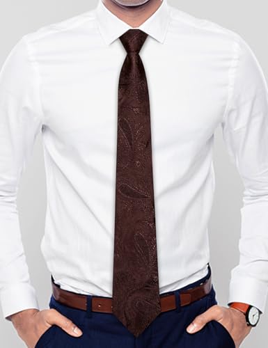 Image of Hi-Tie Dark Brown Zipper Tie For Men Paisley Mens Adjustable Pretied Neckties Handkerchief Cufflinks Formal Business Neck Ties