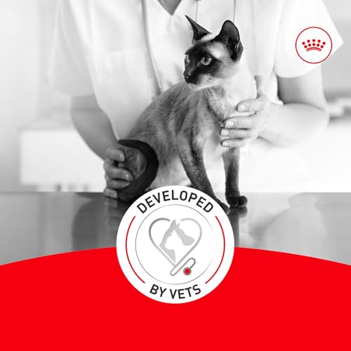 Image of ROYAL CANIN Feline Health Nutrition Aging 11+ Wet Cat Food for Seniors, Thin Slices in Gravy for Cats Over 11 Years, Supports Optimal Health & Vitality, 3 oz can, case of 12