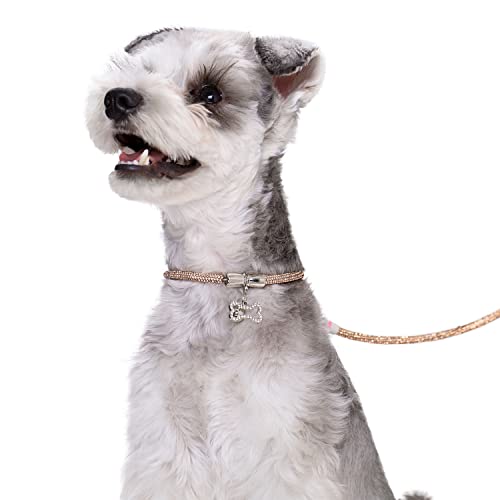 xƂ킢^OtpցAtNX^CXg[̋PpցALpփfUCi[LLlbNXAL̎qp^^pAubN 25CMip[hȂj