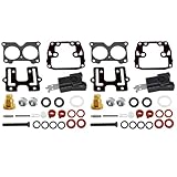 JLM MARINE 2 PACK 439076 Carburetor Rebuild Kit for Johnson Evinrude OMC 9.9-235 HP Outboard Motors 390241 387730 391343 18-7046
