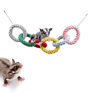 Sugar Glider Hanging Six-Ring Climbing Toys, Colorful Sugar Glider Swing Toys, Sugar Glider Hamster Rats Toys, Cage Accessories for Sugar Glider Ferret Hamster Squirrel Chinchilla Parrots