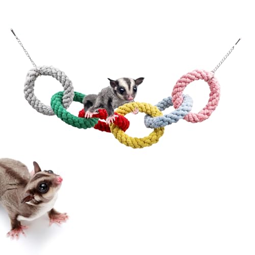 Sugar-Glider-Hanging-Six-Ring-Climbing-Toys-Colorful-Sugar-Glider-Swing-Toys-Sugar-Glider-Hamster-Rats-Toys-Cage-Accessories-for-Sugar-Glider-Ferret-Hamster-Squirrel-Chinchilla-Parrots