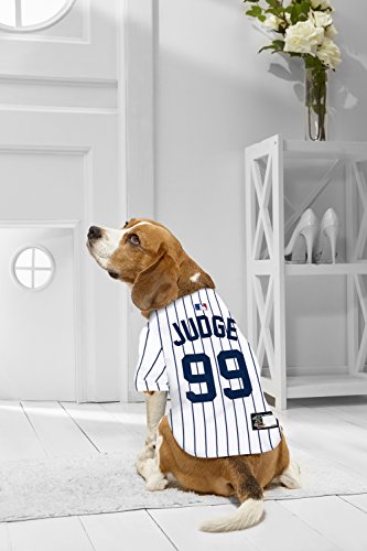 Image of MLBPA Dog Jersey - Aaron Judge #99 Pet Jersey - MLB New York Yankees Mesh Jersey, X-Small