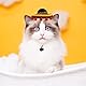 Mini Mexican Sombrero Hüte 4Pcs Bunte Sombrero Hüte Mini Fun Fiesta Strohhut Niedliche Stroh Sombreros für Fiesta Karneval Sommer Mexican Theme Dekorationen Party Favors
