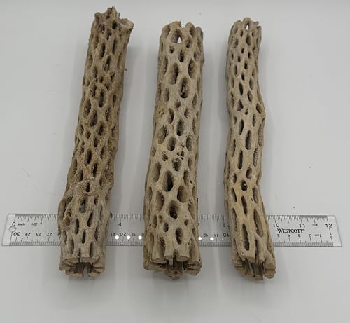 Image of Awesome Aquatic XL Cholla Wood Tubes, Teddy Cane, 12 inch x up to 2 inch | XL Hideouts • Hollow tubes • Natural biofilm surface • Secure hideouts • Shrimp plecos hermit crabs reptiles • Natural decor