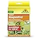 Produktbild Neudorff - Xentari RaupenFrei. Bekämpft biologisch Buchsbaumzünsler und andere Schadraupen. Wirksames Spritzmittel zum Schutz vor Raupen an Buchsbaum, Hecke etc. 2x 3g