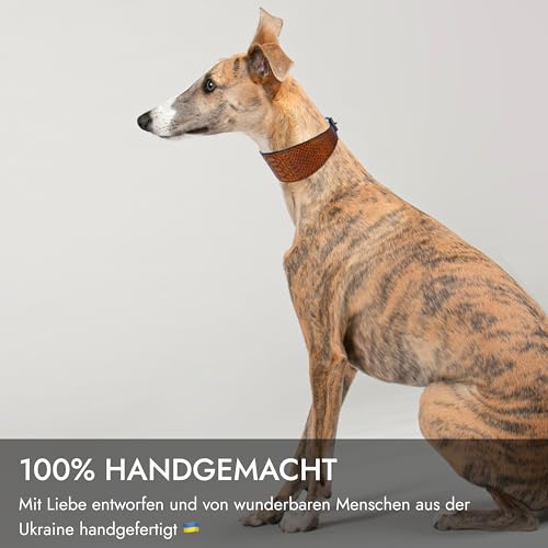 FAVPET Luxus Echtleder Windhund Halsband Breit mit QR Code Anhänger, Weiches Lederhalsband Hund Breit Whippet Italienisches Windspiel Saluki Lurcher Spanischer Galgo Greyhound Podenco (Braun, L)