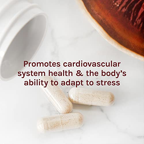 Host Defense, Reishi Capsules, Supports General Wellness And Vitality, Mushroom Supplement, Unflavored, 120 Count (Pack Of 1) #TOP5
