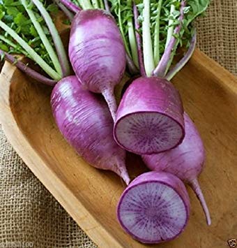 PURPLE DAIKON RADISH – Asian Vegetable - Japanese Unique Purple Radish