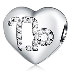 Capricornus Zodiac Star Charm(12/22～1/20)