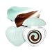 dasique Candy Rolling Pot #Mint Choco | lip balm | lip gloss | lip care | glossy lip | korean makeup