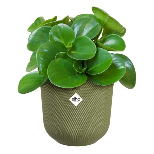 elho Jazz rund 23cm Blumentopf - May Green – Ansicht 3