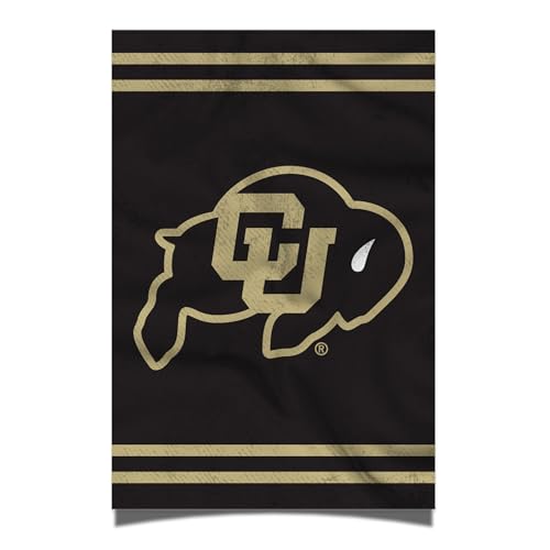 Desert Cactus University of Colorado Poster Buffaloes CU Buffs 11 x 17 Inch Room Office Décor Decoration Official Fan Gear (11x17 inch, Version 3)