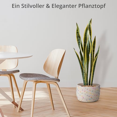 Winter Shore Baumwollseil Körbchen Geflochten - Korb Geflochten mit Deckel für Pflanzen, Garn, Kinderzimmerzubehör, Snacks, Handtücher - Flechtkorb Klein - Cremefarben mit Bunten Akzenten, Rope Basket