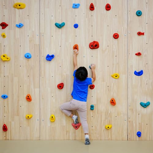 image for Marsrut 50PCS 3/8x2 inch Long Bolts for Wall Rock Climbing Holds Mount