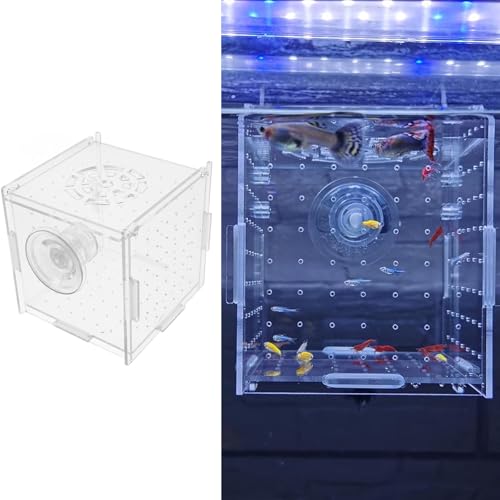 繁殖隔離ボックス 稚魚 10x10x10cm 透明アクリル 産卵孵化 隔離保護 観察便利 省スペース エビ メダカ 吸盤付き