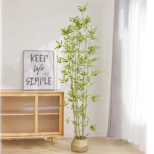 lH| ډB K[fjOtFX ϗtA tFCN lH |  Ηt tFX p[eBV tFCNA CeA  O sv ͂Ȃ(180cm6{+)