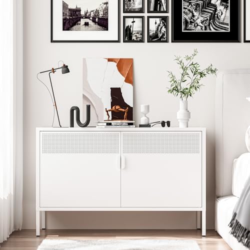Washsemba 2 Door Metal Accent Cabinet,Metal Storage Cabinet with Adjustable Shelf,2-Tier Office Cabinet,Multipurpose Metal Locker Storage Cabinet for Office Home (White)