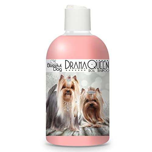 ** Top 5 Reviews** Best Shampoo for Yorkies in 2022