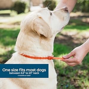 Wondercide dog collar flea tick and mosquito repellent for dogs with natural essential oils up to 4 months protection small medium  urban country home decor