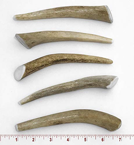 Perfect Pet Chews 5-8" Small Long Deer Antler Dog Chew - 5 ct