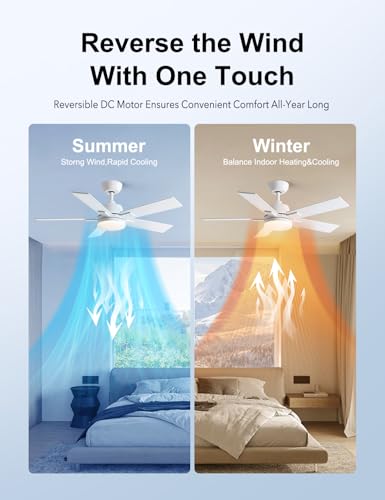 Image of Rayqueen 42 Inch White Ceiling Fans with Lights and Remote,Includes Downrod
