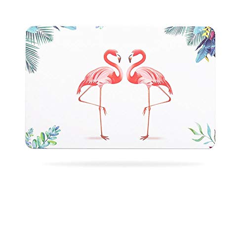 WDYKYQAl Baño Alfombra Baño Antideslizante Alfombra De Baño Conejo Flamenco Diatomeas Mudabsorbente Esteras De Secado Rápido Dormitorio Alfombras De Baño Decoración para El Hogar-Flamingo Cover